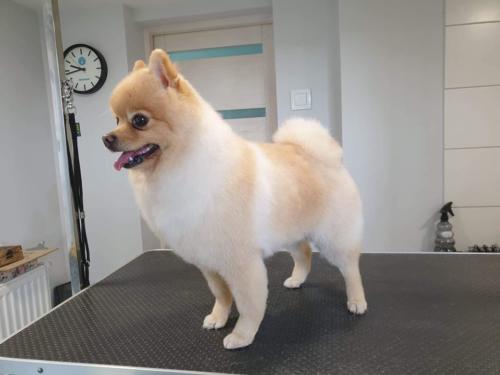 po